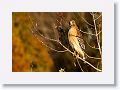 november-018