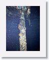 Pillar from dive pier at Habitat.