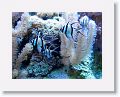 New England Aquarium