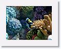 New England Aquarium