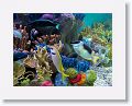 New England Aquarium