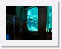 New England Aquarium