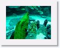 New England Aquarium
