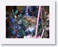 New England Aquarium