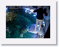 New England Aquarium