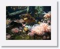 New England Aquarium