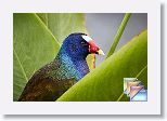 April * (33 Slides)