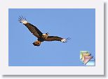 February * (231 Slides)