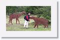 Ged standing next to life sized metal silhouettesof prehistoric animals from the area