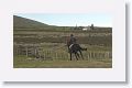 We saw this Guacho in pursuit of a run-away horse
