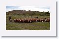 The second of two cattle drives along the road back to Puerto Natales