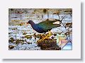 January * (73 Slides)