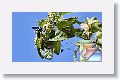 santaMartaRoad * (75 Slides)