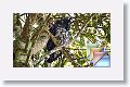 morningHike * (87 Slides)