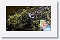 morningHike * (41 Slides)