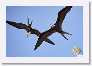 Day06 * (66 Slides)