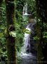 cascade