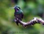 hummer2