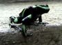 greenpoisondart3