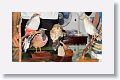 Cuban Trogon, Blue-headed Quail-Dove, Cuban Pygmy-Owl, Cuban Bull-Finch, Cuban Vireo