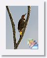 day08 * (89 Slides)