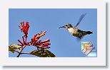 07 * (146 Slides)