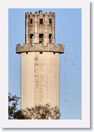 OK, not downtown. This is the Sulphur Springs water tower on Jan 30 awaiting the rise of the super blue moon.