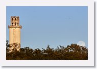 OK, not downtown. This is the Sulphur Springs water tower and the rise of the super blue moon.