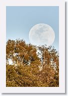 OK, not downtown. This is the rise of the super blue moon.