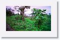 Tinalandia-004