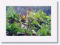 Tinalandia-027