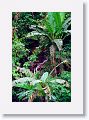 Tinalandia-045