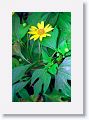 Tinalandia-051