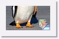 Day03 * (206 Slides)