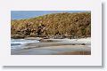 Cow Point was named for the number of female Elephant Seals that shelter here