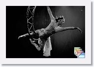 David * (118 Slides)