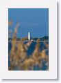 Egmont Key lighthouse seen from beach through sea oats at Gulf Pier