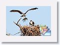 March * (48 Slides)