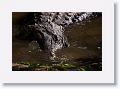 In return, the gators get to snack on the ocassional fledgling that falls out of its nest