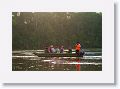 An early morning wildlife cruise on the Essequibo river will take us to the trail to Turtle Mountain.