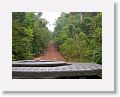 This is the main North-South road through the heart of Guyana from Georgetown to the Brazil border.