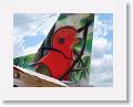 Tail art on our Trans Guyana Airways plane.