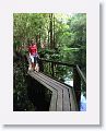 Cypress Swamp trail