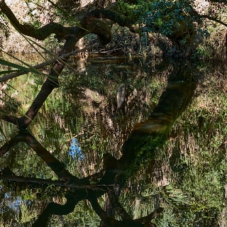 11a-034