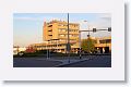 In Aalsmeer, the auction house itself comprises about 160 acres