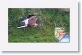 Day08-Veere * (77 Slides)