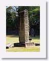 Stela A