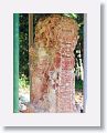Stela 4