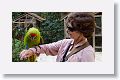 Great Green Macaw