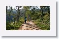 La Laguna Road traverses a variety of habitats from open fields and dry scrub to higher elevation pine-oak and humid pine-oak forest, with smaller areas of broad-leaved forest
